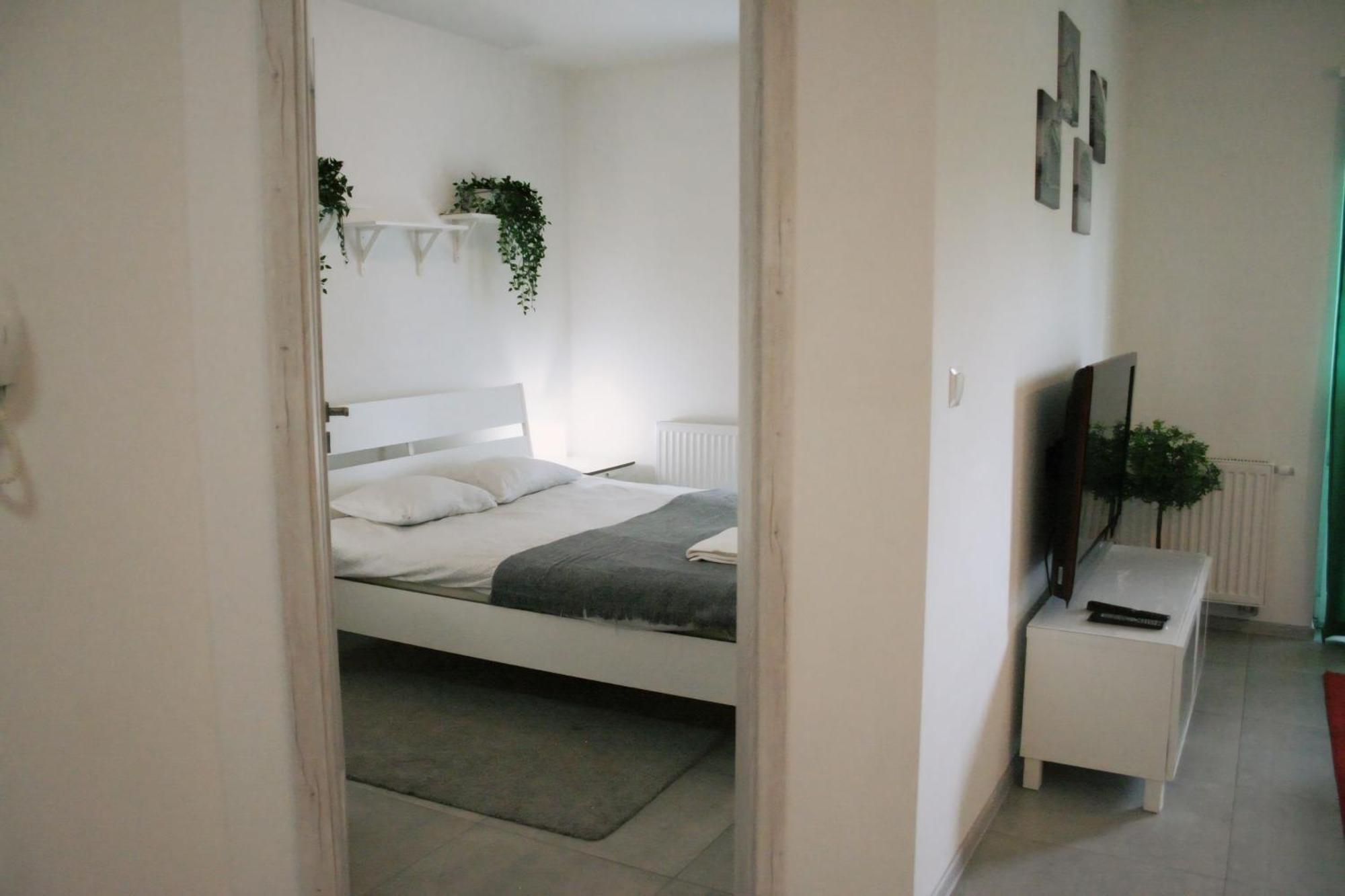 Apartament Tricolore Apartment Stary Toruń Exterior foto